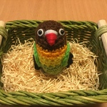 yurie-pipiさま♡専用ページ: ボタンインコちゃん（キエリボタンインコ）