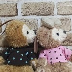 ポーチサイズ ２枚セット♥️ダッフィー・シェリーメイ ぬいぐるみポーチ 服 お揃いTシャツ  ドット 水玉柄 ハンドメイドコスチューム お洋服 ピンク
