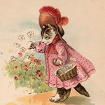 あん様　同梱品リスト