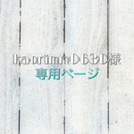 レッスンバッグ・上履き入れ★ブルートライアングル
