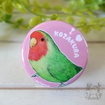 インコ大好き♡缶バッジ【コザクラインコ】