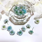  ＊ Summer Wedding＊かすみ草ドライフラワー