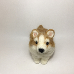 立ちコーギー