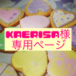 kaerisa様専用