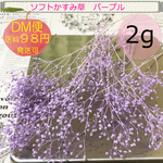 かすみ草　『パープル』２ｇ