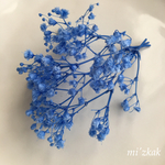 かすみ草  プリザーブドフラワー  ブルー