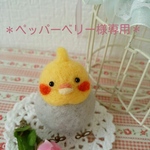🐦✨ご依頼品専用ページ🐦✨