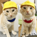 送料無料☆彡【新作】なりきり新一年生♡ピカピカの一年生のコスプレ風〜猫の首輪