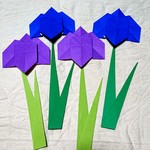 ★再販②★花菖蒲・折り紙・５月・🎏端午の節句🎏・子どもの日・壁面飾り・8枚セット【★送料無料★】
