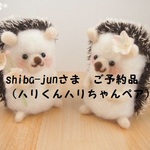 【shiba-junさま　ご予約品】ハリくんハリちゃんペア