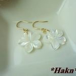 *Hakn***　K14GF　高品質ホワイトシェルAAAの一粒ピアス