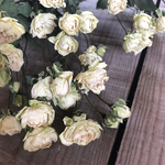 小ちゃな 白  薔薇  のドライフラワー