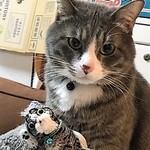 ペットをストラップに！（レンちゃん）