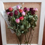 ドライフラワー薔薇15本‼ B149