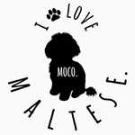 手描き風フォントがかわいい愛犬のお名前入りステッカー☆『マルチーズBタイプ』☆ カーステッカー ☆ ペット ☆ ステッカー ☆ 名入れ 8