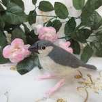 羊毛フェルト　かわいい♪桜文鳥の雛