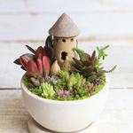 ベージュ　多肉植物箱庭風寄せ植えsmall　