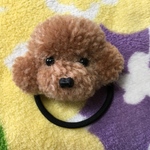 毛糸のぽんぽん　トイプードルヘアゴム（茶色・Sサイズ）
