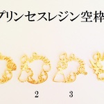 【４】プリンセスレジン空枠　３個