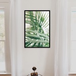 BOTANICAL5 / P051 / 植物ポスター