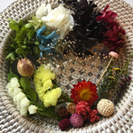 お花色々　FM5　プリザーブドフラワー　ドライフラワー　