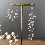 Gypsophila　⑵