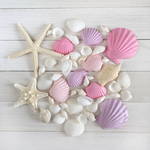 flamingo  SHELL （S）