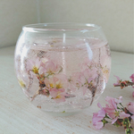 さくら咲くジェルキャンドル🌸