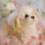 羊毛フェルト『ダックス』+『トイプー』＝ダップー　ミックス犬