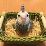 《再販》オカメインコちゃん（ホワイトフェイス）