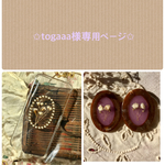 ✩︎togaaa様専用ページ✩︎