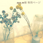aya.m様 専用ページ