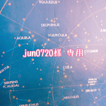 jun0720様  専用ページ
