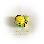 イエローパイド❋セキセイインコ 小鳥 あみぐるみ  ストラップ