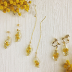 ミモザを閉じこめたピアス