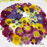 ♡new♡ 送料無料！¥1580 ♡たっぷり押し花セット♡