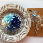 Blue & White　プリザーブドフラワー　ドライフラワー　花材　B