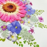ピンクのガーベラとその他の押し花素材