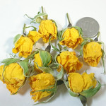 ドライフラワー　スプレー薔薇ヘッド　イエロー色