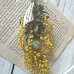 ＊ミモザ♡のスワッグmini＊（洋書付き）