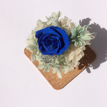 BLUE  ROSE