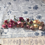 色鮮やか  薔薇のドライフラワー  