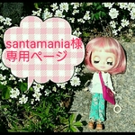 santamania様専用ページです。他の方はご購入をお控えください。