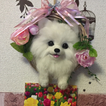 yokoyamadoka様リクエストご予約品