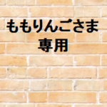 ももりんごさま　専用商品です