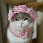 🌸桜