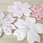 桜の花のコースター4点セット