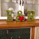 【licaco3様オーダーページ】moss moss♡