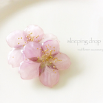 ＜今春、最終販売＞新しい季節。。。さくらの押し花　ブローチ　（河津桜）