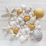 GOLD×SILVER SHELL（S）